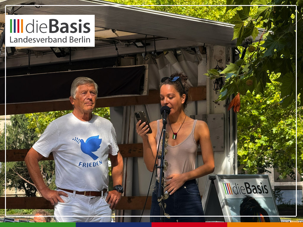2026-08-29_Friedensdemo-Hannover_Impressionen_03