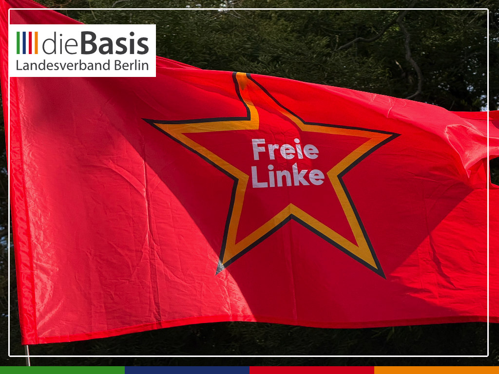 2026-08-29_Friedensdemo-Hannover_Impressionen_11