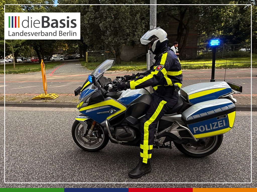 2026-08-29_Friedensdemo-Hannover_Impressionen_13