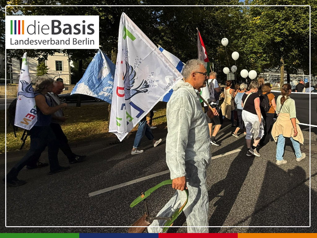 2026-08-29_Friedensdemo-Hannover_Impressionen_14