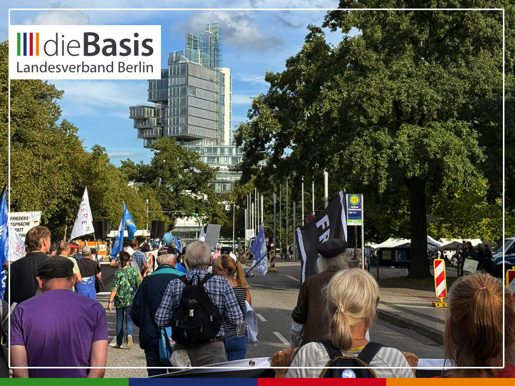 2026-08-29_Friedensdemo-Hannover_Impressionen_15