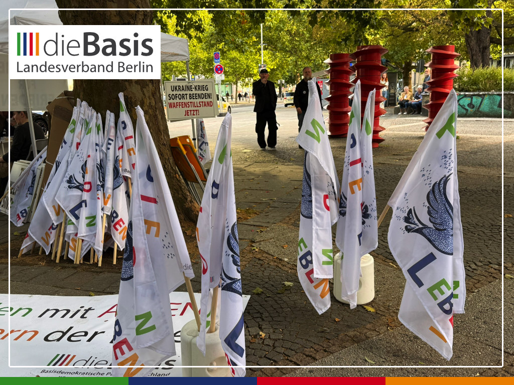 2026-08-29_Friedensdemo-Hannover_Impressionen_19